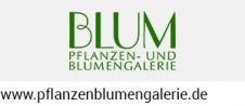blumenhaus_blum-8cc6c800